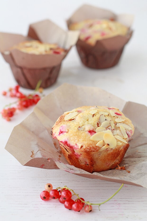 Freshly baked red currant muffins