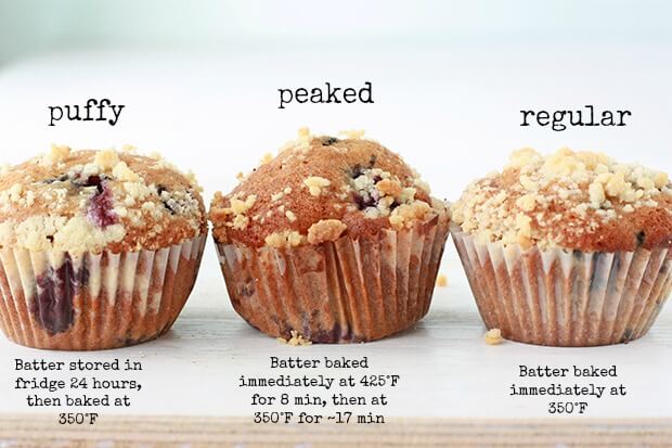 Three muffins baked at different temperatures, and some from chilled batter, to show how the dome and muffin top of muffins are affected by temperature.