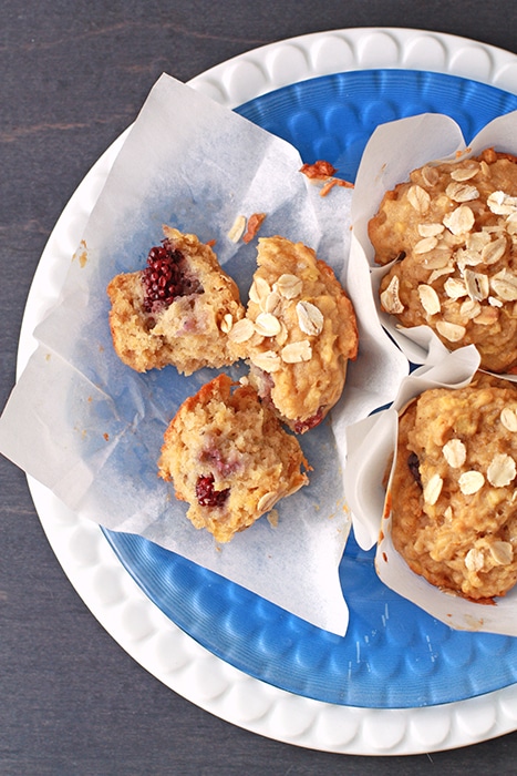 apple blackberry breakfast muffins