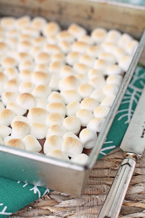 s'more bars