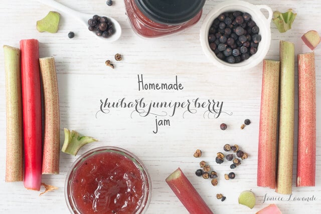 homemade rhubarb jam with juniper berries and stalks of rhubarb