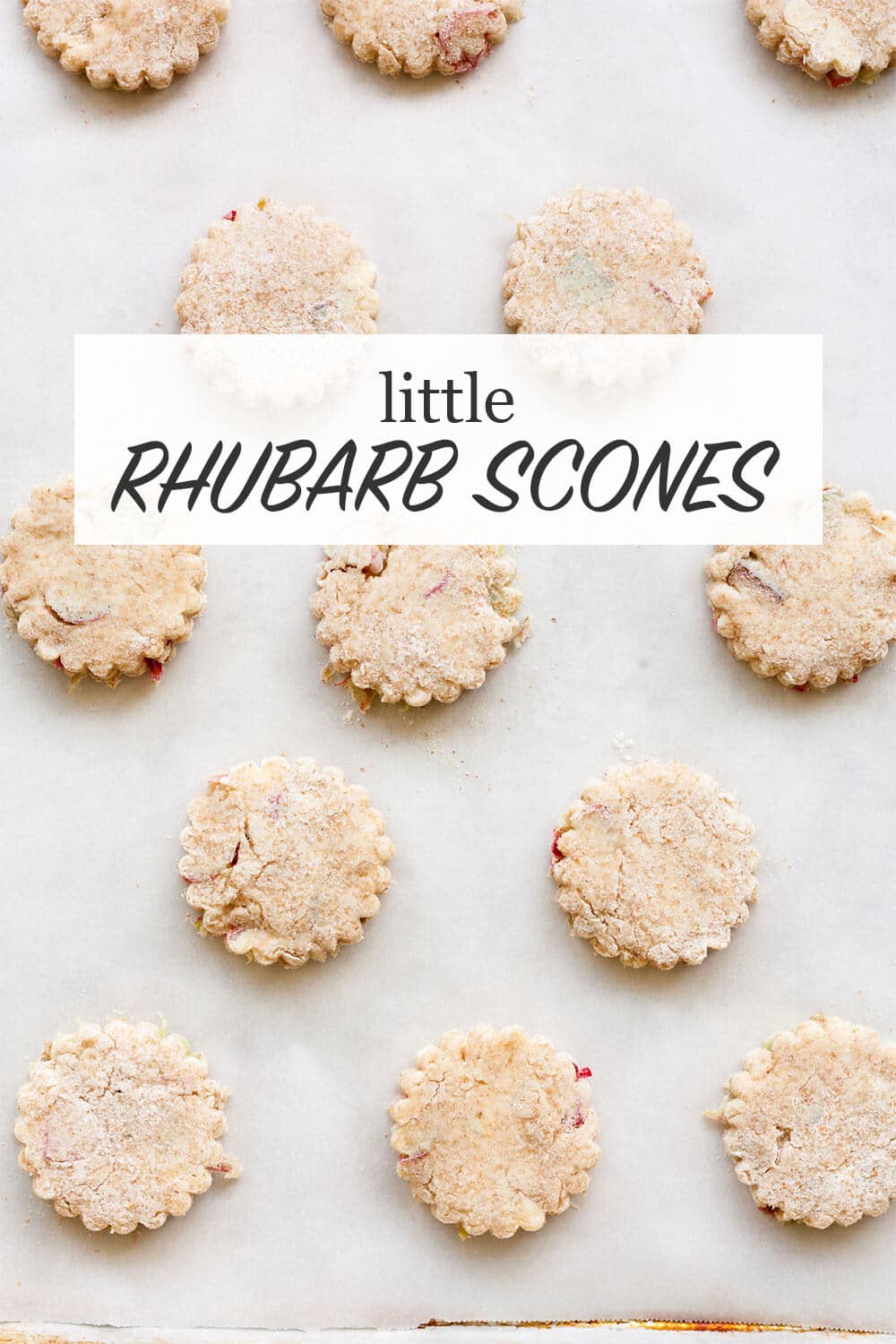 Mini rhubarb scones with crinkle edges before baking on parchment paper lined baking sheet