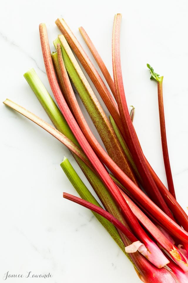 Fresh stalks of green and pink rhubarb