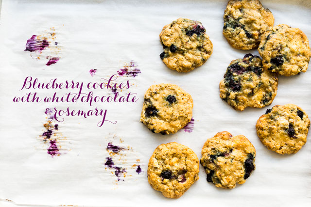 Blueberry oatmeal cookies with white chocolate and rosemary on a sheet of parchment with purple blueberry stains