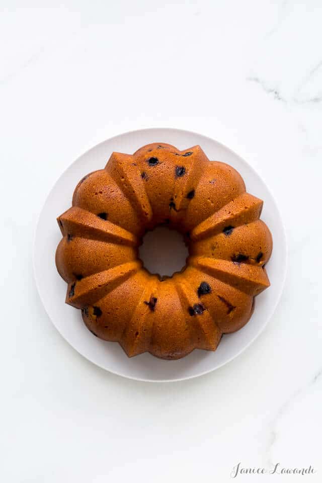 Unglazed orange cranberry bundt cake from the Vanilla Bean Baking Book