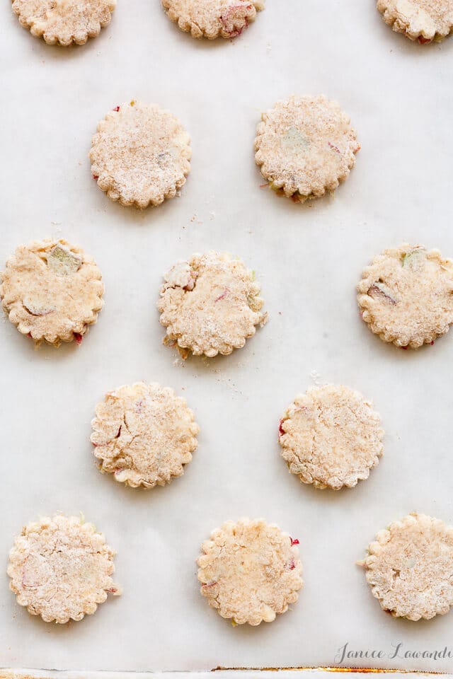 Staggered pan of little rhubarb scones made with fresh pink rhubarb and cut with a round crinkle cutter, before baking on a parchment lined sheet pan.