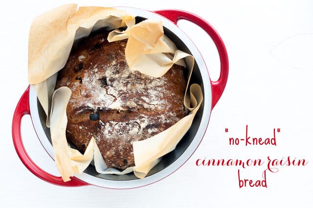 no-knead raisin bread wrapped in parchment paper baked in a red Dutch oven