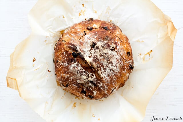 the baked bread - cinnamon raisin no knead bread loaf on crumpled parchment paper