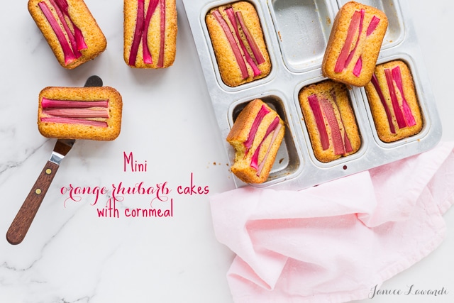 Mini orange rhubarb cakes with cornmeal baked in mini loaf cake pans for the perfect rhubarb treat that you can share