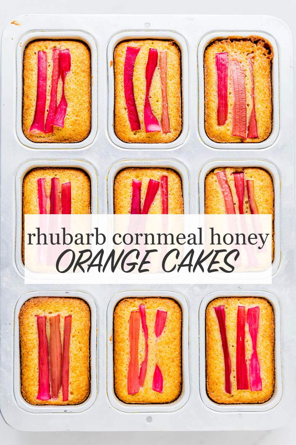 Mini orange cakes baked in a loaf cake pan topped with stalks of pink rhubarb