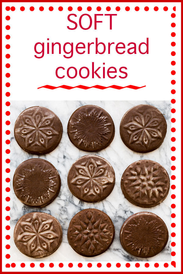 Soft Gingerbread Stamped Cookies - Nordic Ware