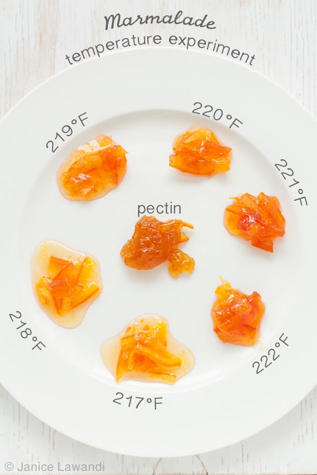 A palette of marmalades cooked to different temperatures to show the impact of cooking temperature on marmalade set. Marmalade cooked to 217 are more runny while marmalades cooked to 220–222ºF are just right. Above 222ºF, marmalade becomes dryer and chewy