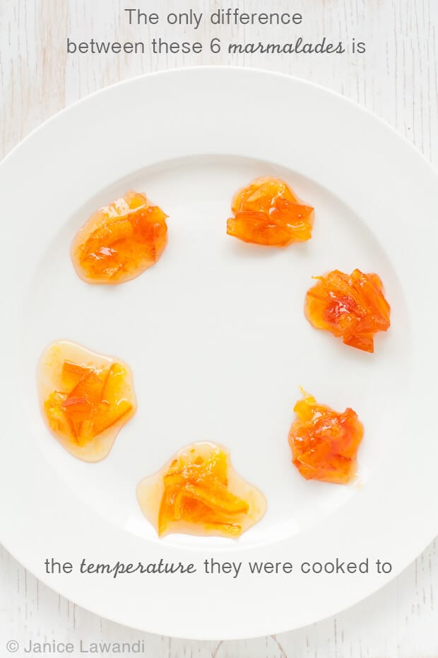 A palette of marmalades cooked to different temperatures to show the impact of cooking temperature on marmalade set