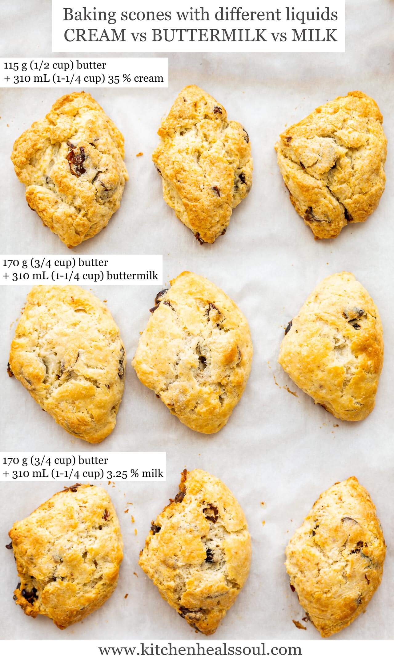 Baked scones made with different liquids: three made with cream compared to three made with buttermilk (which are lighter in colour) and three made with whole milk