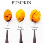 Canned pumpkin (dark orange) versus sugar pumpkin versus kabocha squash purées on spoons to compare them.