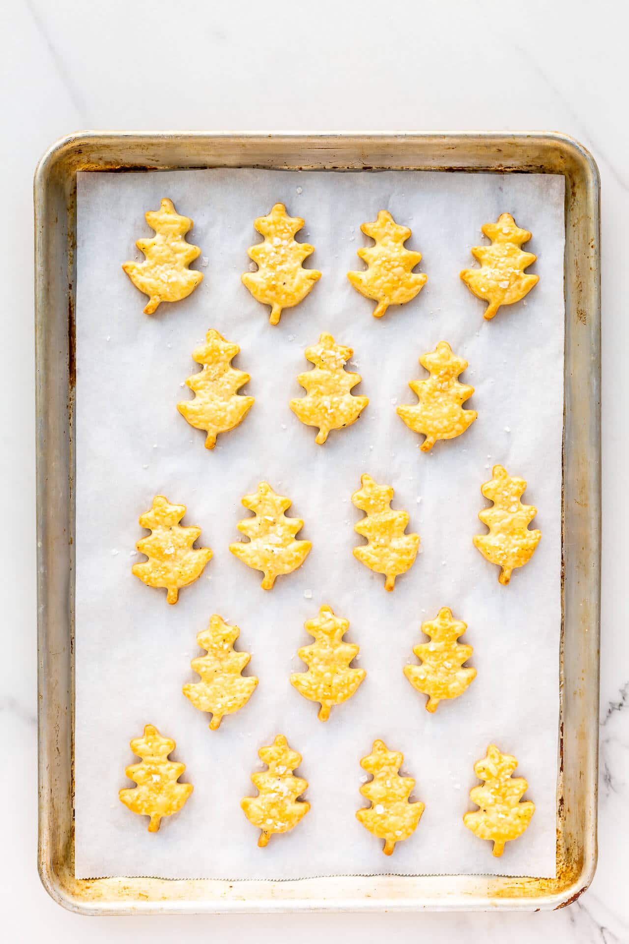 Freshly baked cheese shortbread cookies shaped like oak leaves on a parchment-lined baking sheet