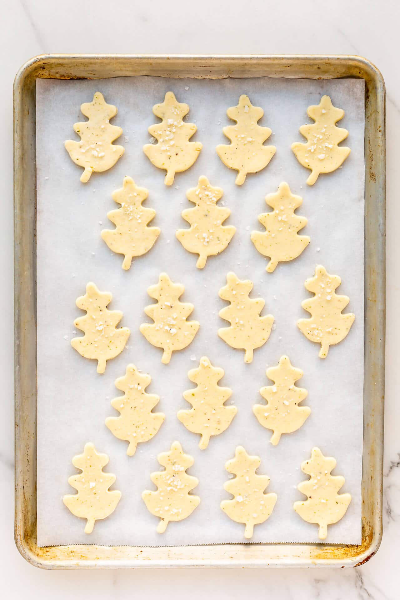 Oak-leaf shaped savoury shortbread biscuits cut-out and placed on a parchment-lined sheet pan ready for the oven