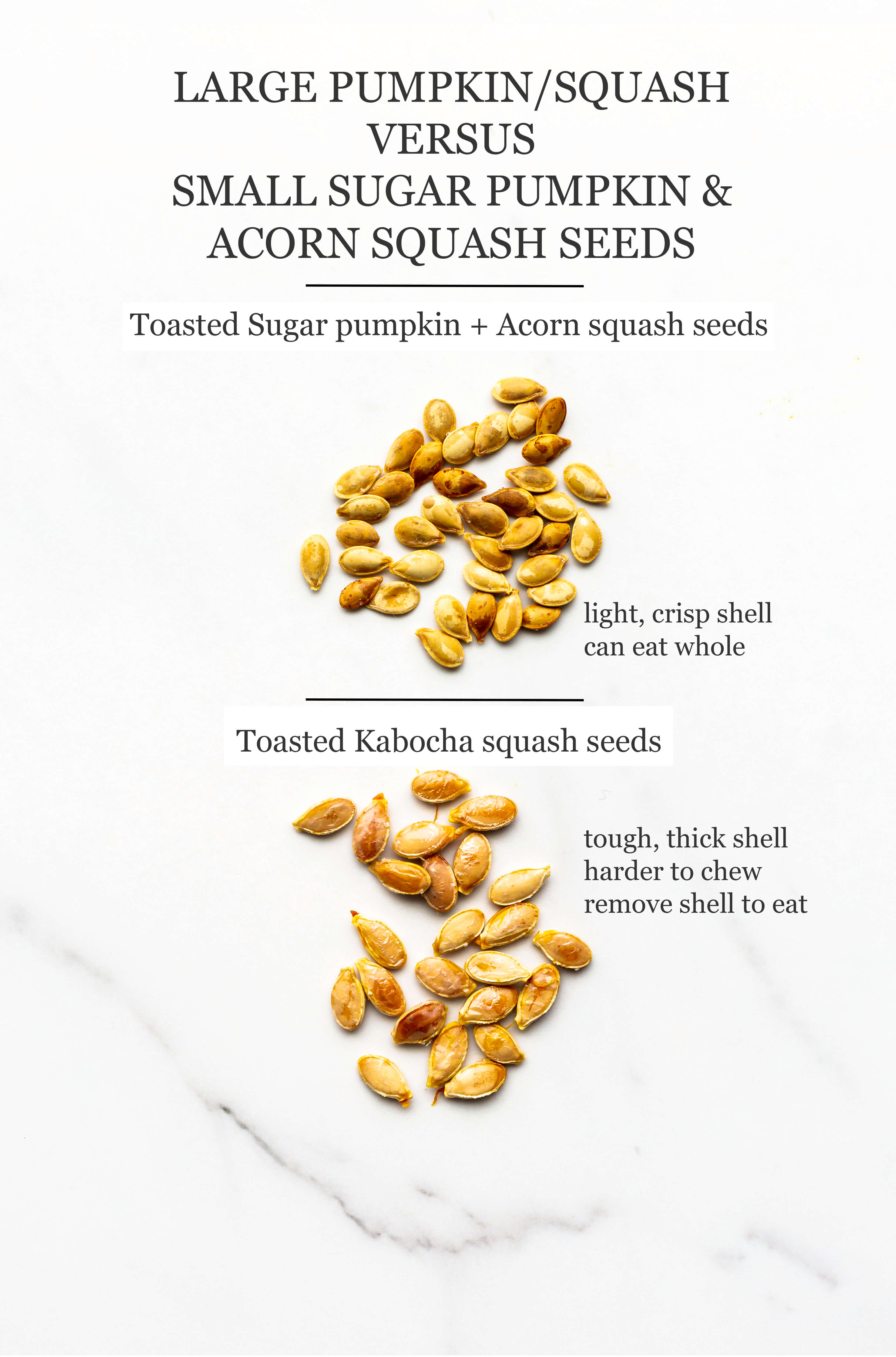 Toasted kabocha seeds compared to toasted acorn squash and Sugar pumpkin seeds to show that Kabocha and big pumpkins yield bigger seeds.