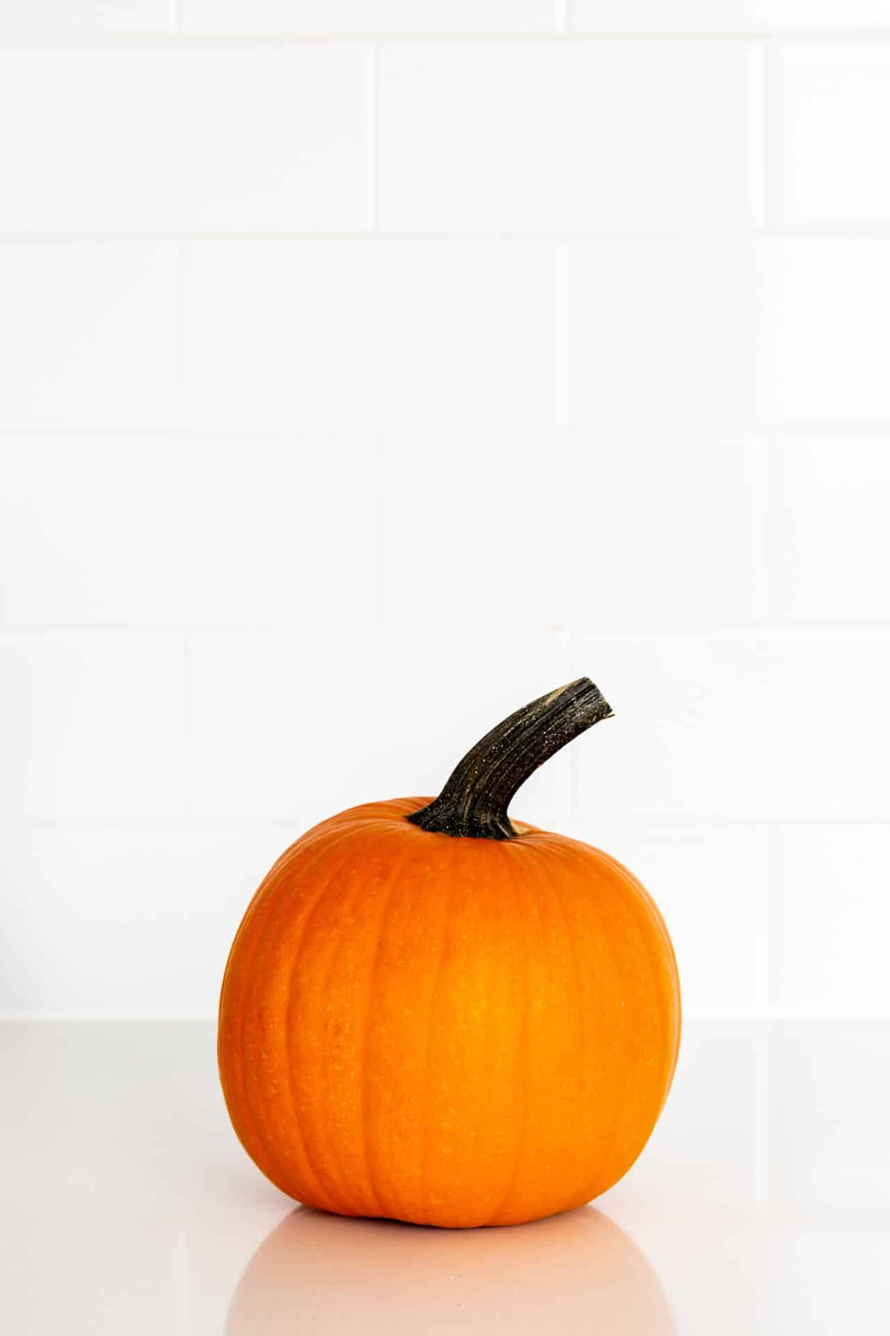 Sugar pie pumpkin on white counter.