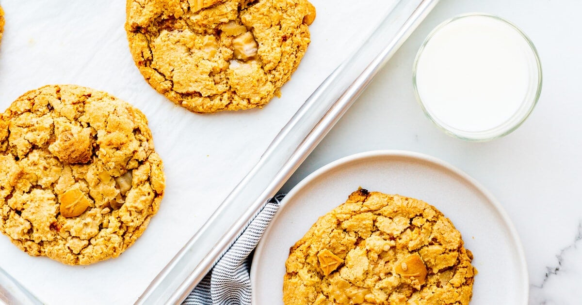 Maple Sugar Cookies - The Bake School