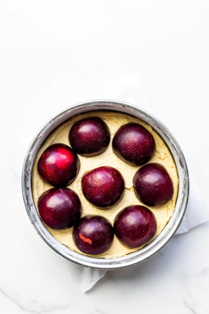Springform pan with cake batter topped with plum halves, ready to be baked.