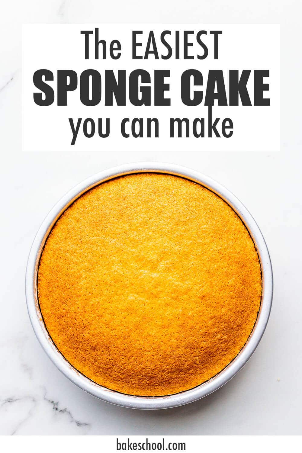 Hot milk sponge cake freshly baked cooling in cake pan.