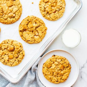 Maple cookies, freshly baked on a sheet pan, with a glass of milk on the side.