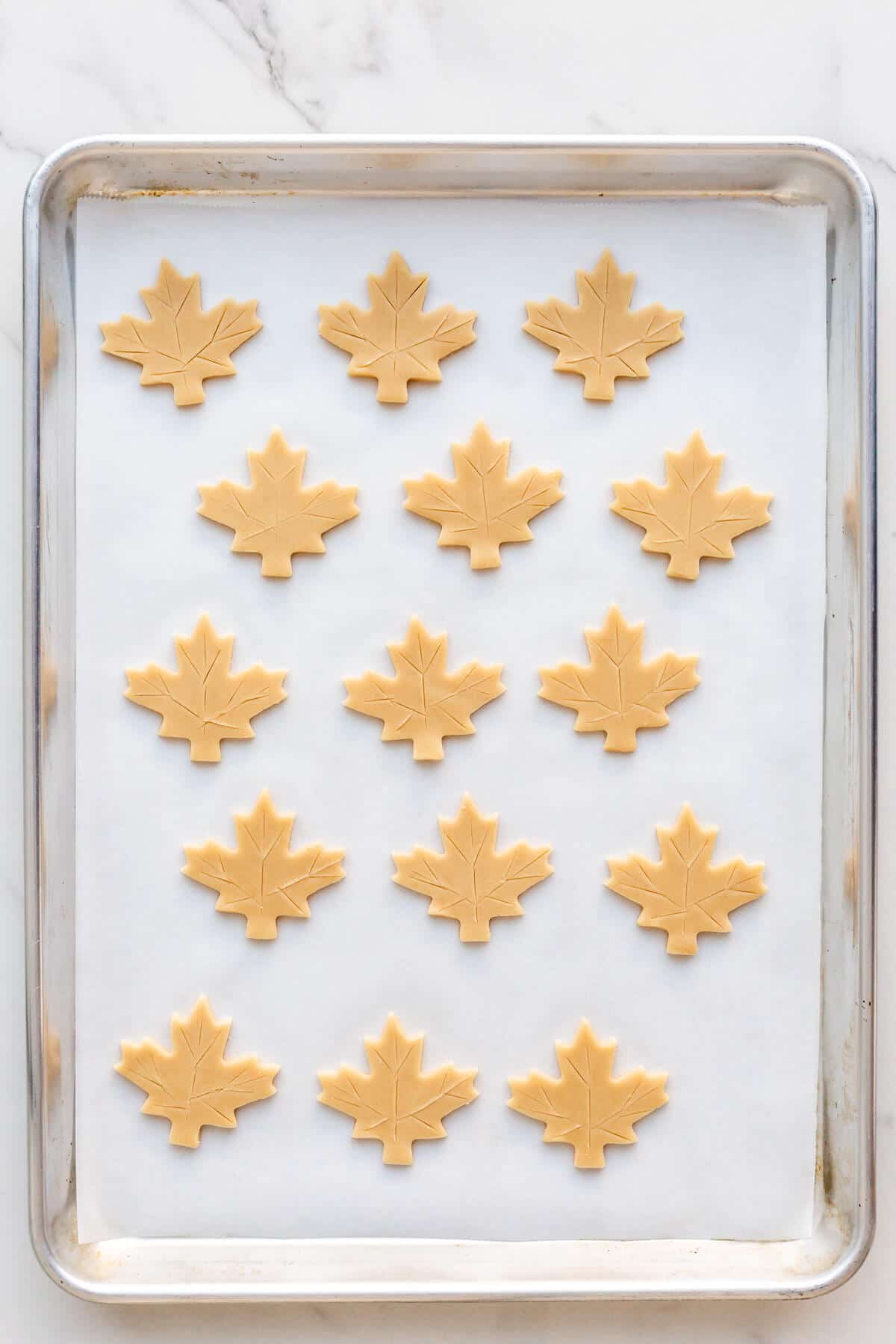 Maple shortbread cookies cooling on a sheet pan.