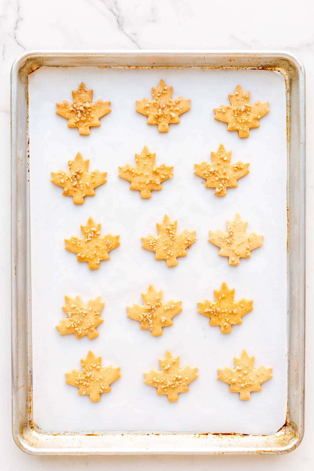 A sheet pan of freshly baked maple cookies.