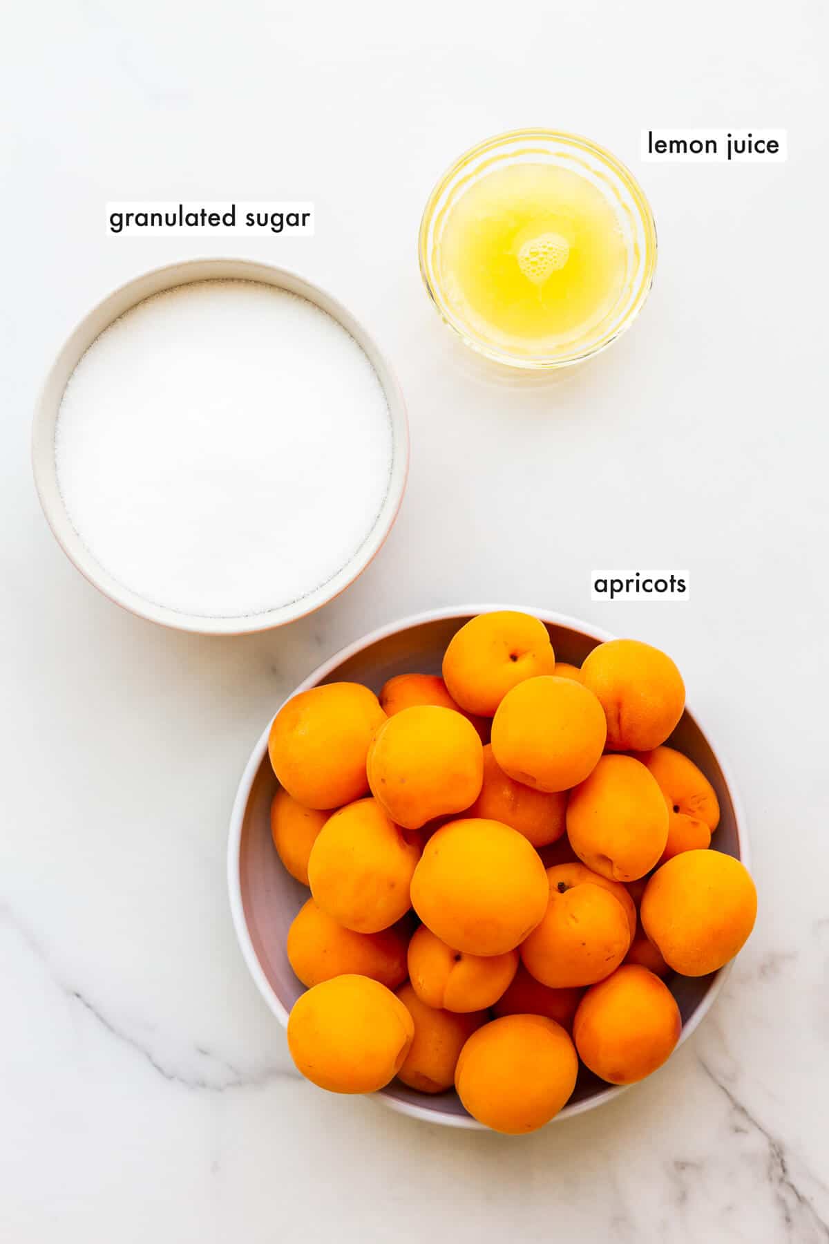 Ingredients to make apricot jam.