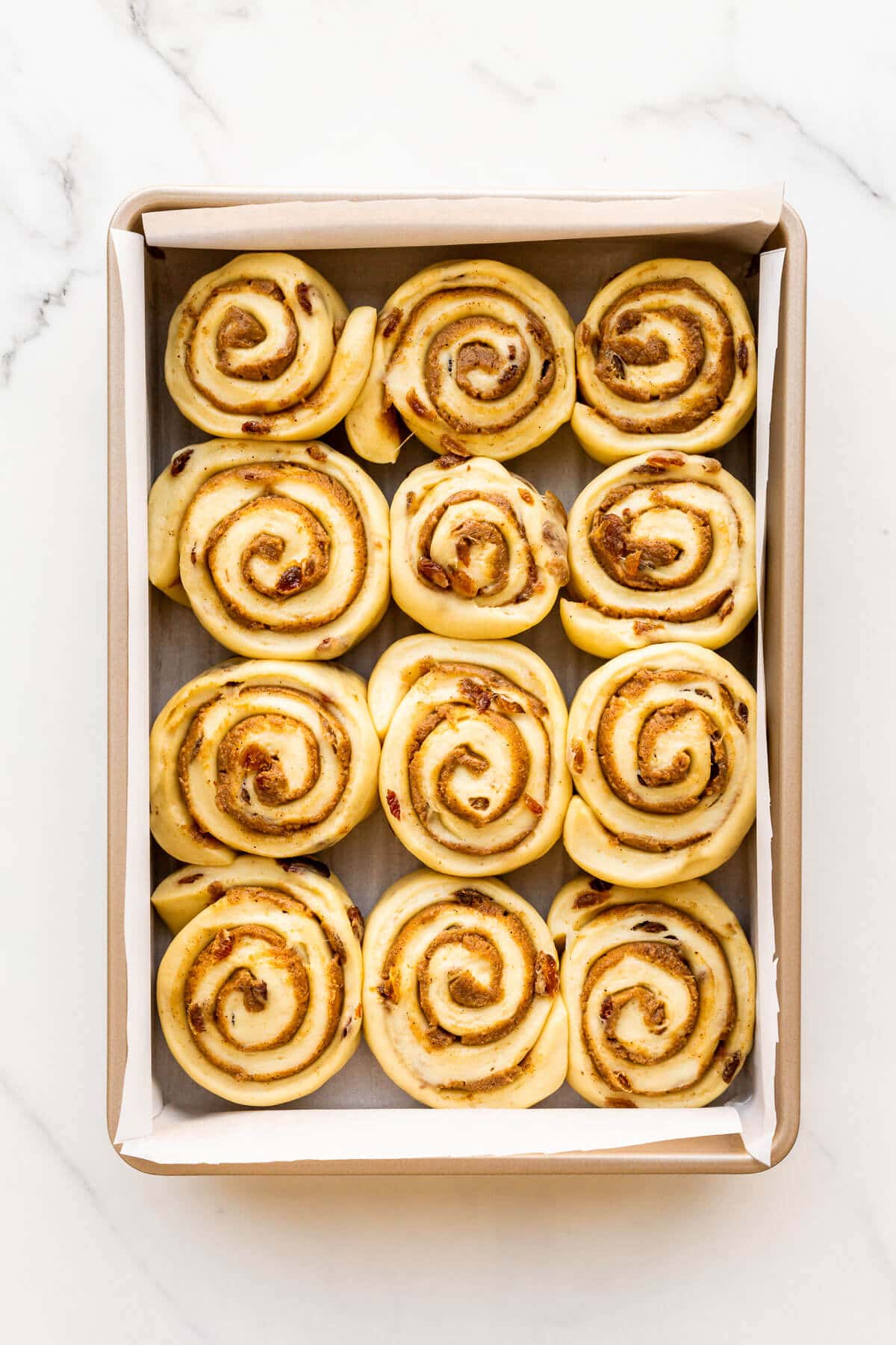 Cinnamon rolls with raisins in a 9x13 pan after rising, before baking.