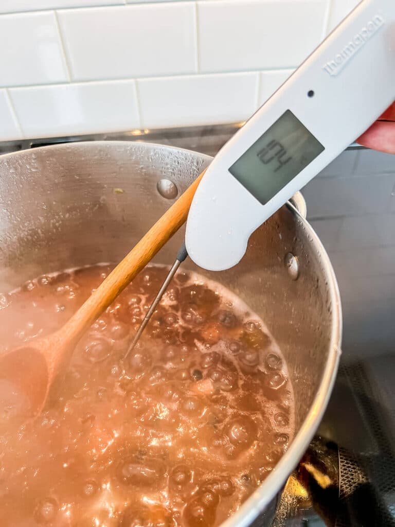 Checking the temperature of a boiling pot of jam with a digital thermometer to ensure the jam setting point is reached.