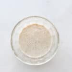 A glass of proofed yeast made by mixing yeast with water and a little sugar, letting it sit until it is foamy and active.