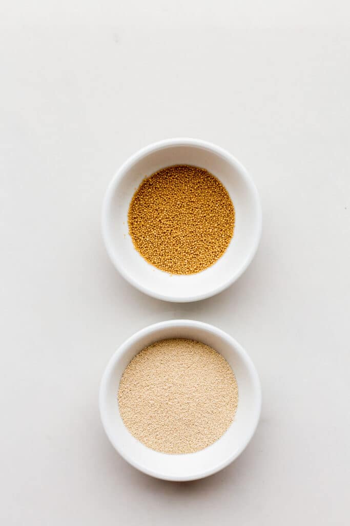 Two bowls of yeast, side-by-side to show the difference: active dry yeast is more granular and coarse, like seed beads versus quick rise or rapid rise instant yeast has a finer, lighter texture.