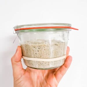 A jar of active sourdough starter that has been fed and doubled in size.