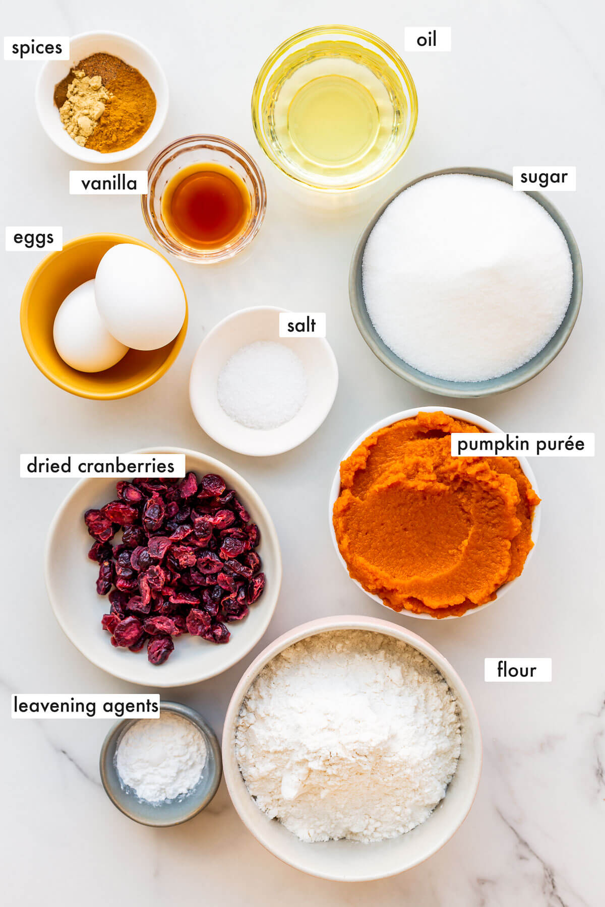Ingredients to make a pumpkin bread with cranberries from scratch measured out and ready to bake with.