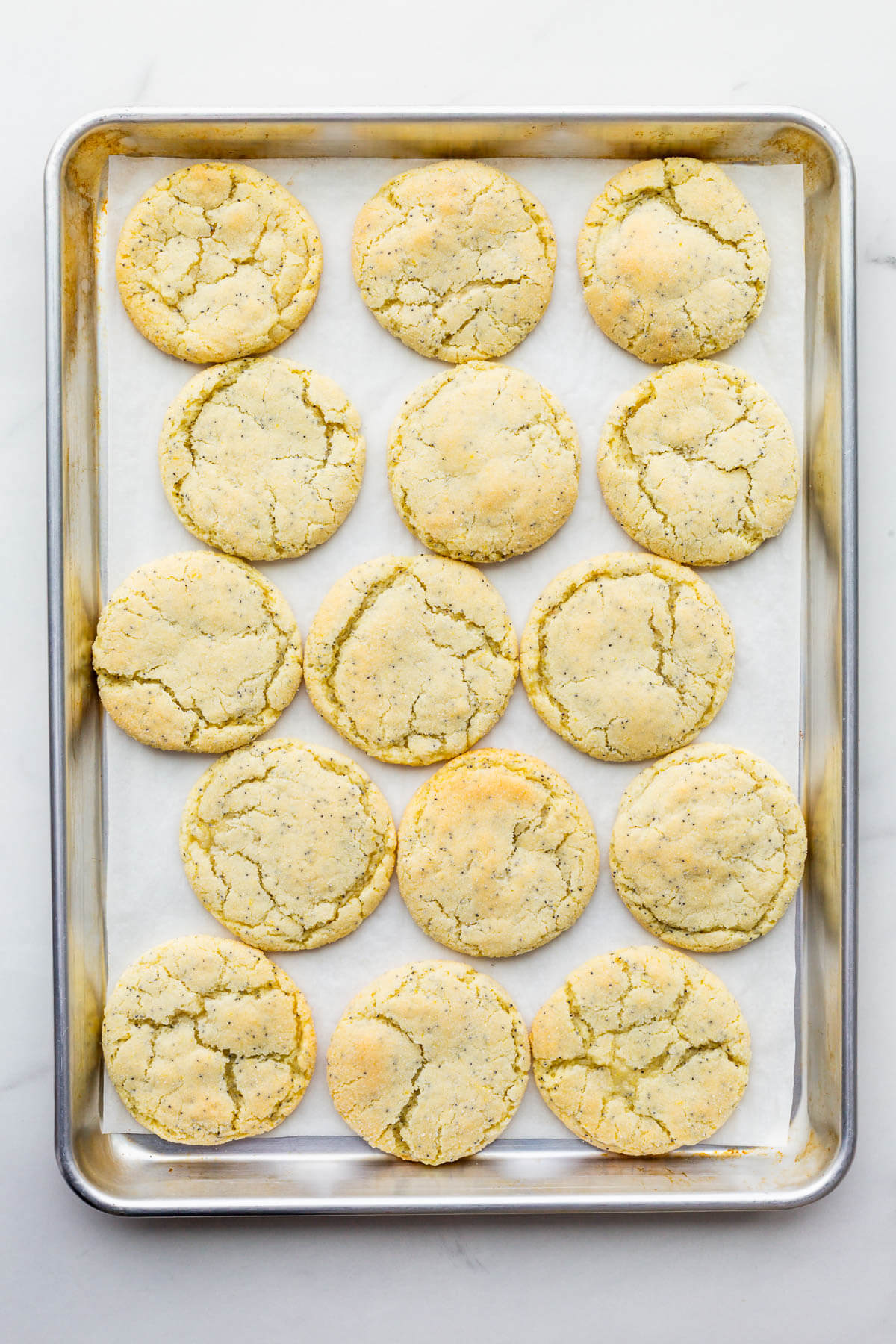 A sheet pan of sugar cookies with poppy seeds in them.