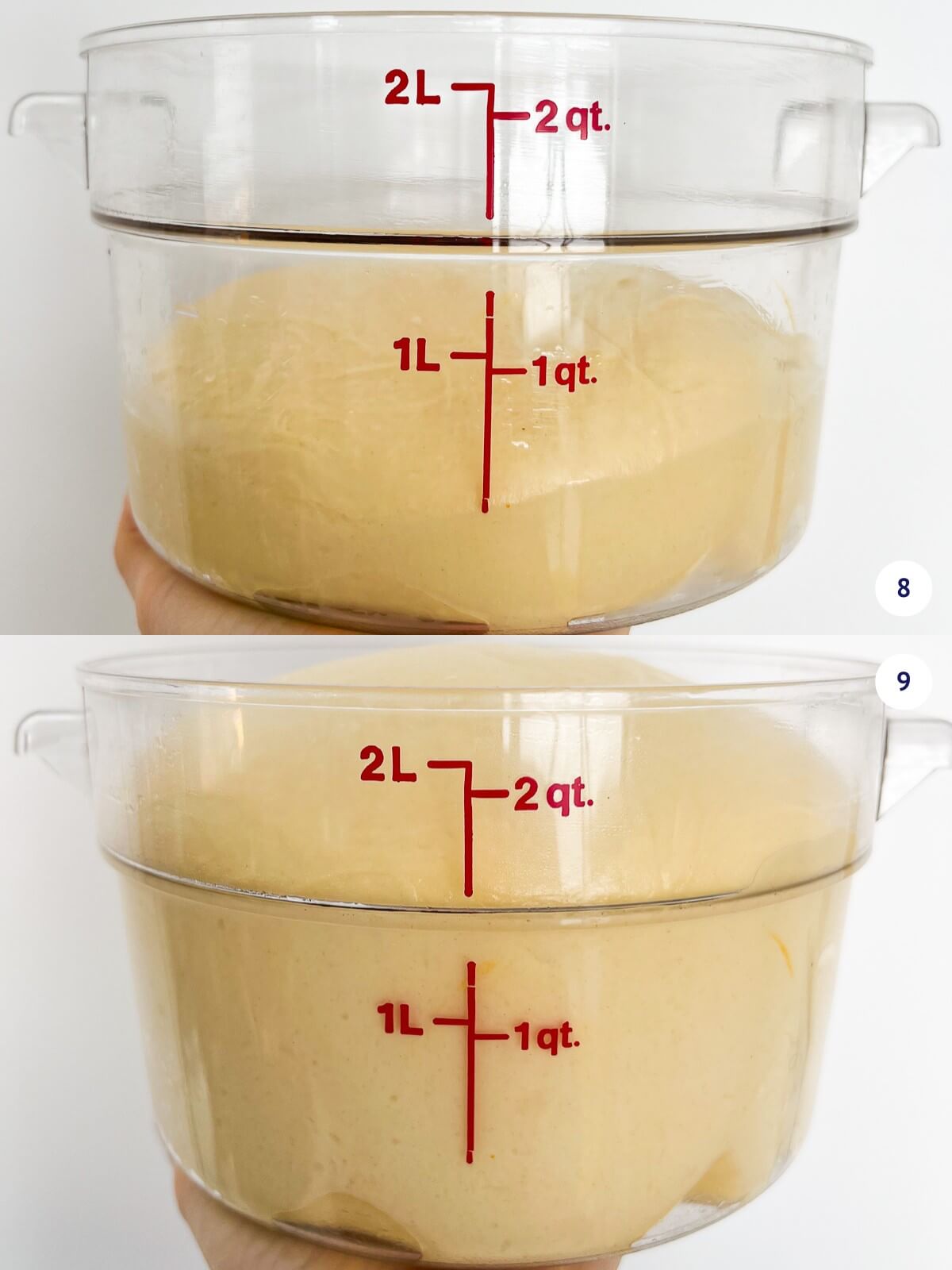 Brioche dough before and after rising in a clear round container.