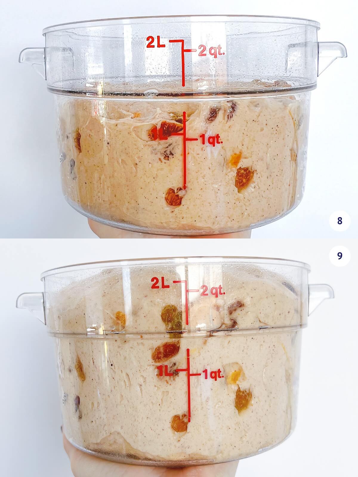 Dough for hot cross buns in a clear Cambro container before and after rising until doubled in volume.