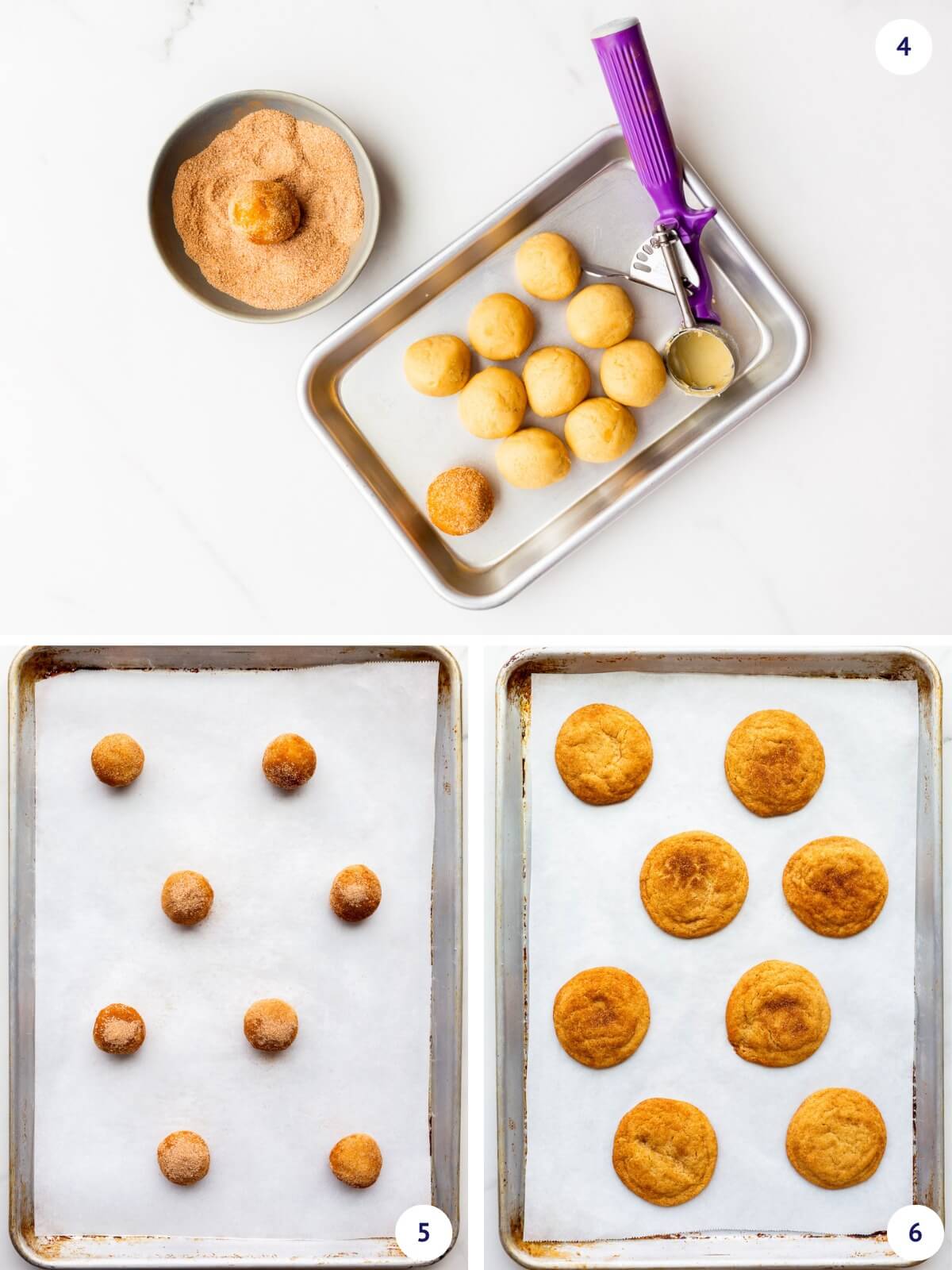Scooping sugar cookie dough and rolling it in cinnamon sugar before baking the snickerdoodles.