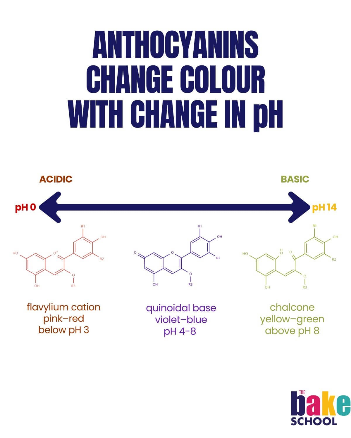 Changes in anthocyanin structure and colour with change in pH from acidic (pink–red anthocyanin colour) to basic (green or even yellow anthocyanin colour). In the neutral zone, the anthocyanin colour in blueberries will be violet–blue.
