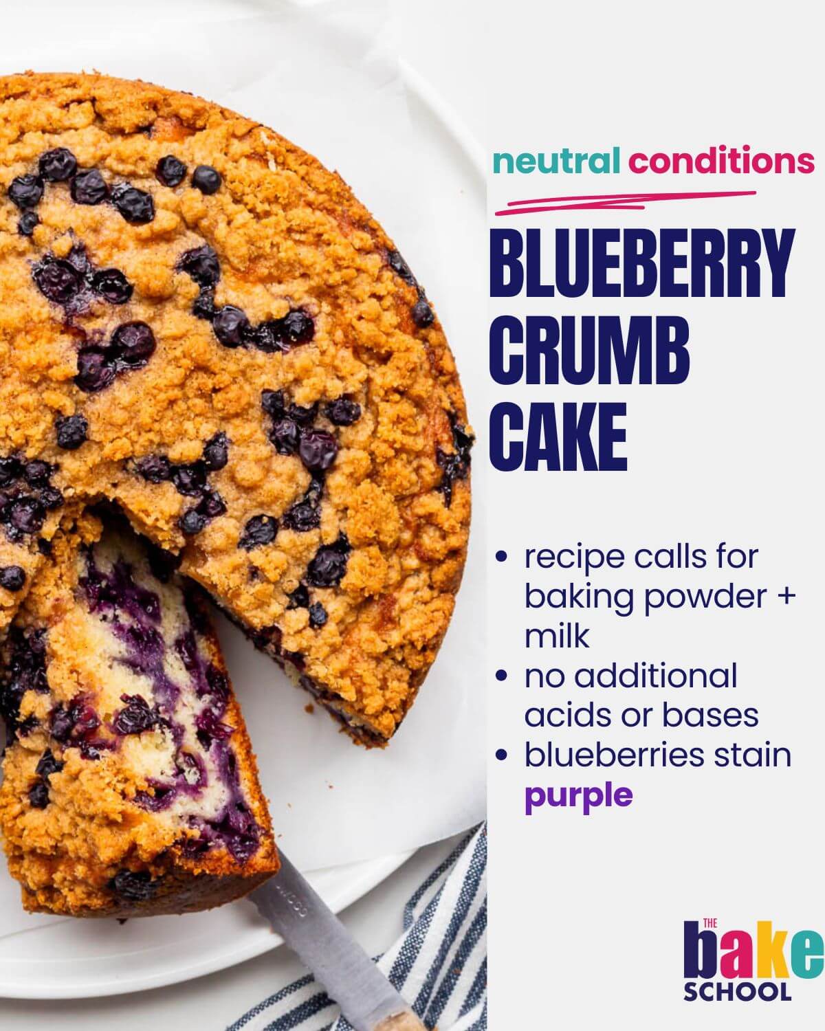 A blueberry crumb cake where the blueberries appear purple because the pH of the cake batter was fairly neutral.