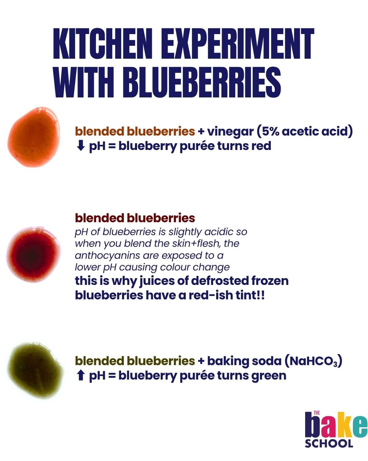 Kitchen experiment with blended fresh blueberries exposed to different pHs (from vinegar to baking soda) to show how colour changes to red or even green.